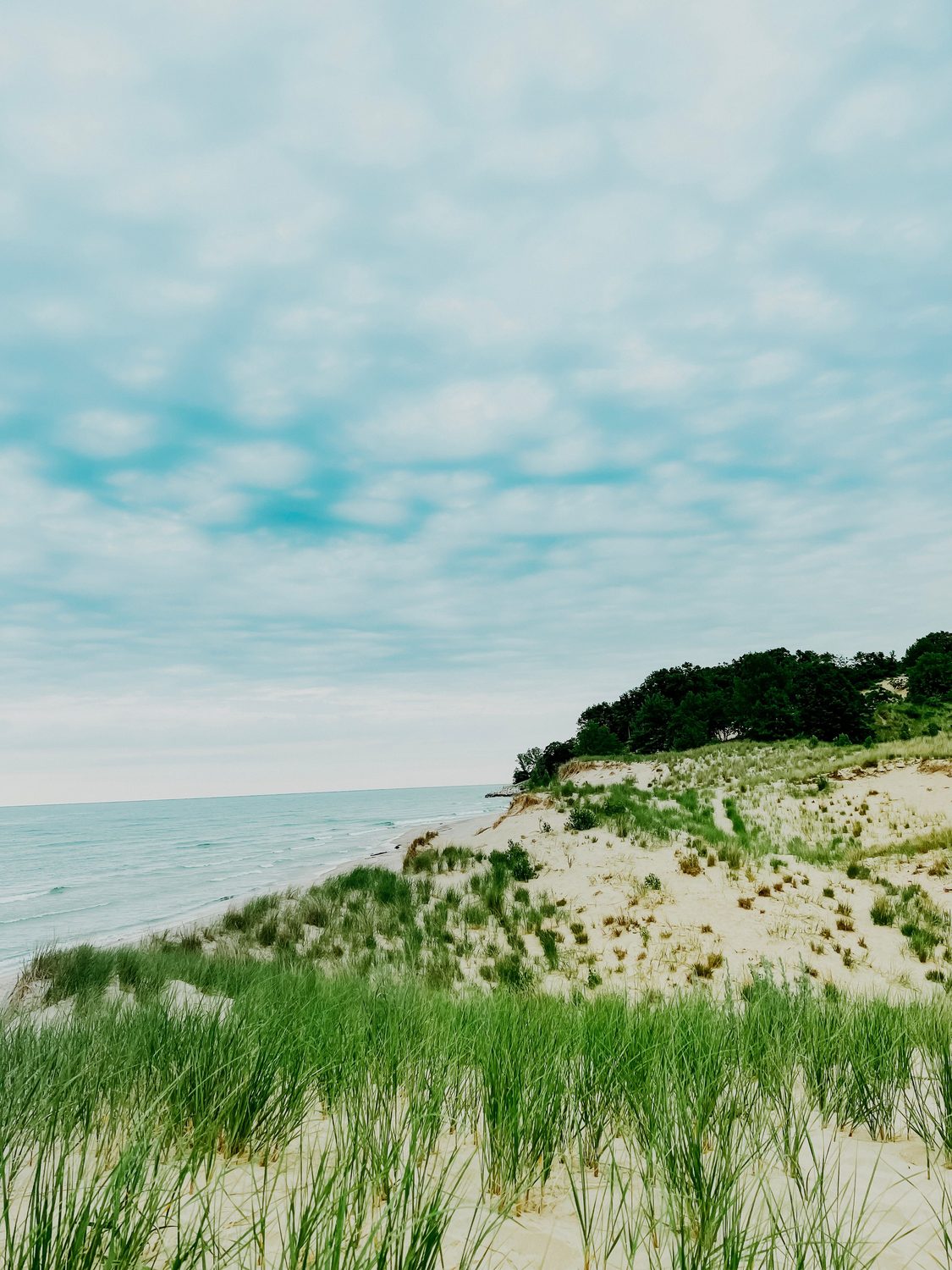 Lake Michigan dune and beach grass near Sleeping Bear Dunes